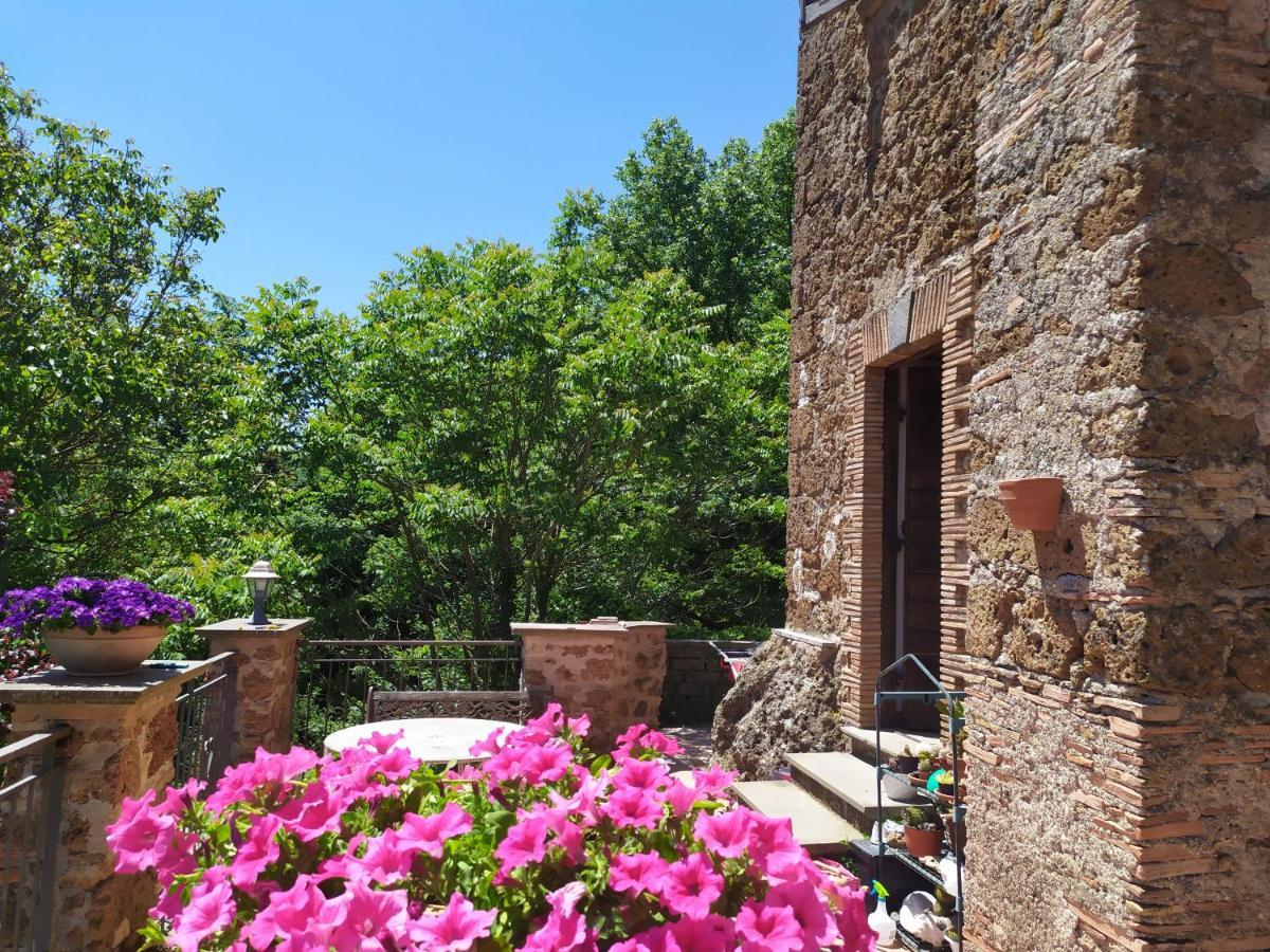 B&B Il Giardino Del Borgo Veiano Luaran gambar
